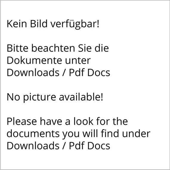 Hochdruckfarbschlach mit 1/4 Zoll Anschluss, Länge: 1000 mm