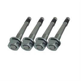 Fastening screw set type 2
